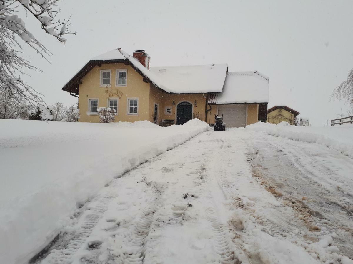 Bed And Breakfast Trnje Pivka Kültér fotó